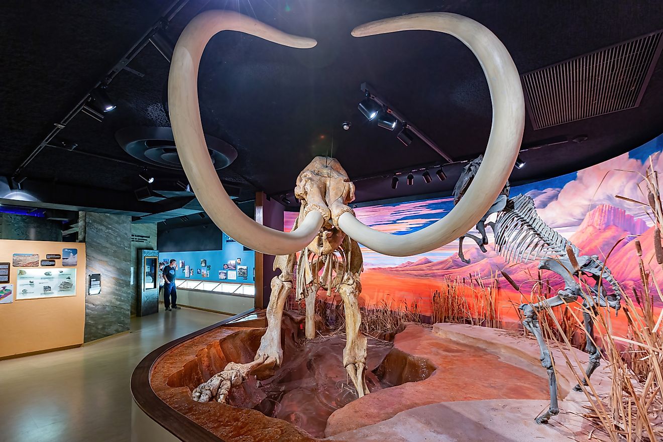 Editorial Photo Credit: Kit Leong via Shutterstock. Nevada, OCT 15, 2014 - Interior view of the Nevada State Museum
