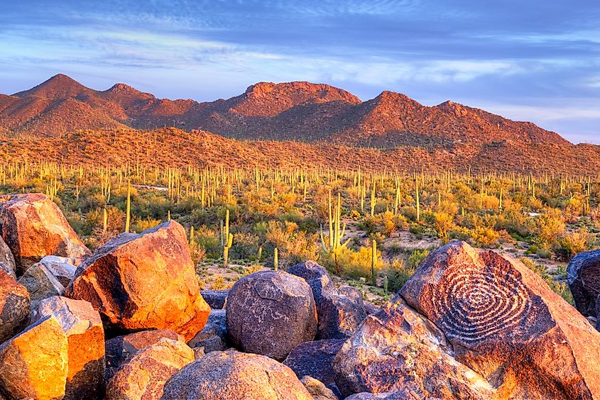 Hohokam Petroglyphs, on Signal Hill in Saguaro National Park, at sunset.