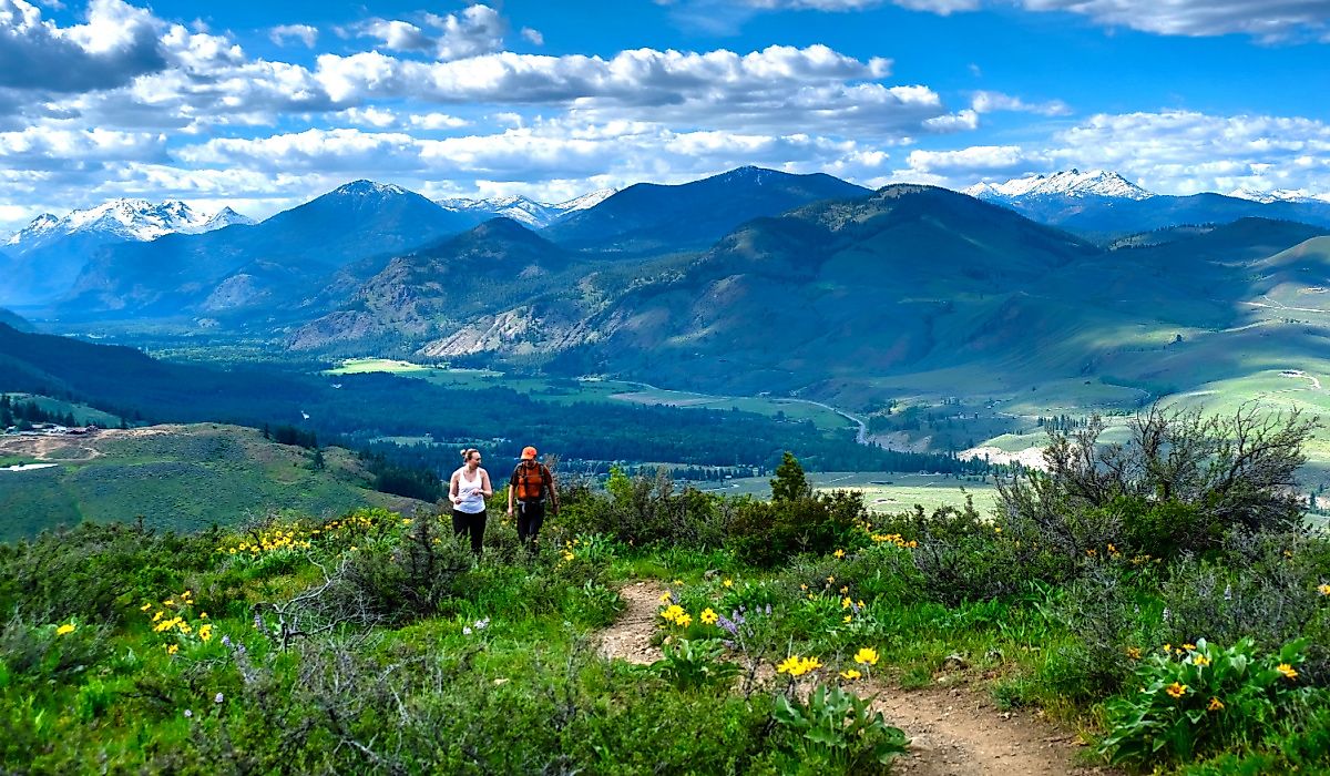 Spouses walking together on meadows in North Cascades National Park. 