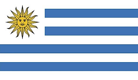 The current flag of Uruguay. 