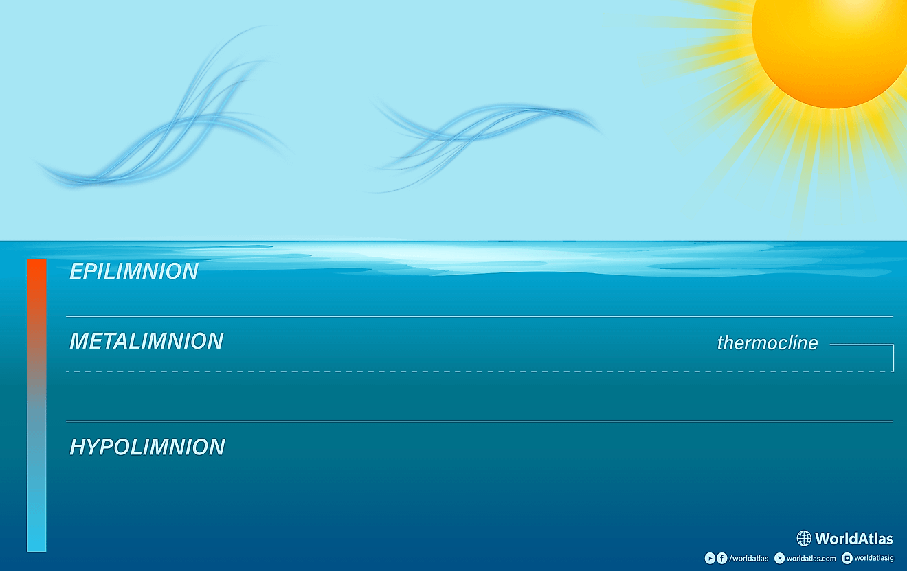 diagram showing lake stratification