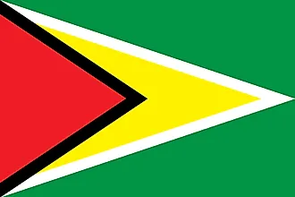 Flag of Guyana