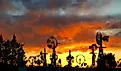 Windmills in Portales, New Mexico.