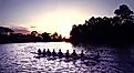 Rowers on Adelaide's Torrens River.